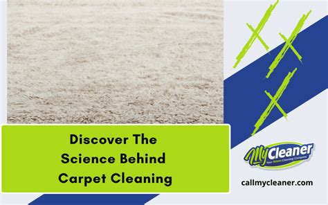 Protecting and Maintaining Carpets with Magic Carpet Cleaner